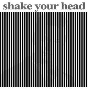 Obrázek shake your head pro lenive