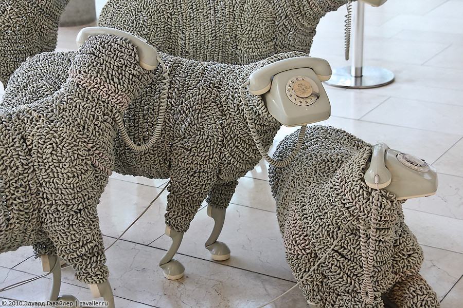 Obrázek sheep