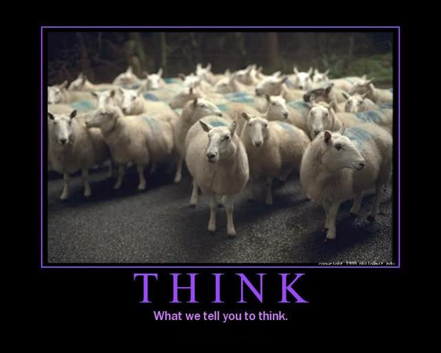 Obrázek sheep thinking