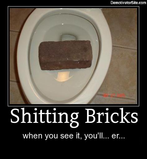 Obrázek shitting-bricks