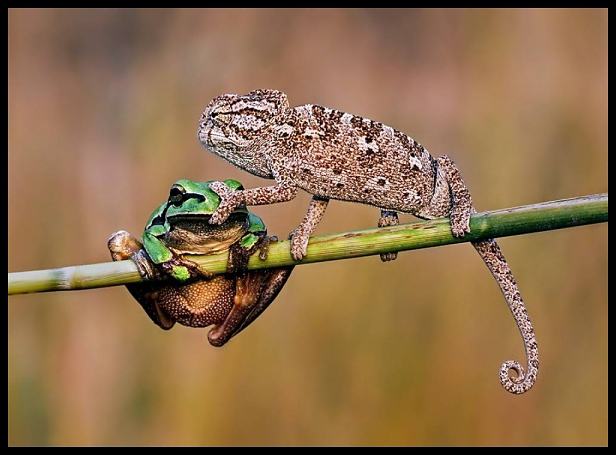 Obrázek shut up bitch