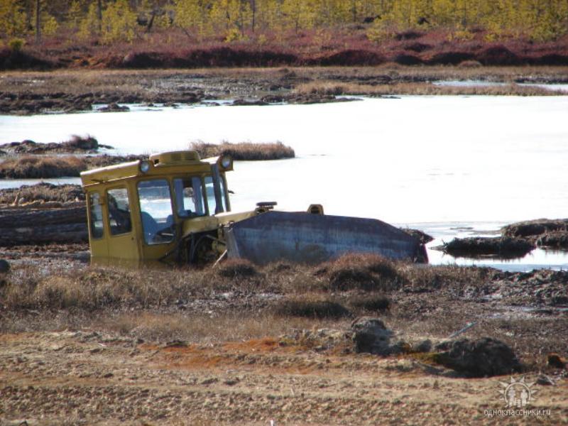 Obrázek sibir103