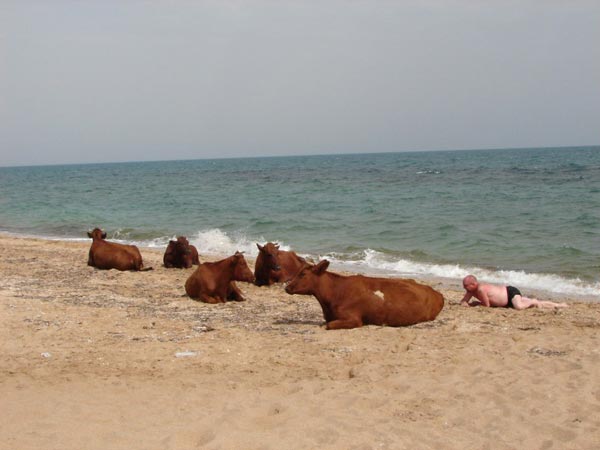 Obrázek siesta na plazi