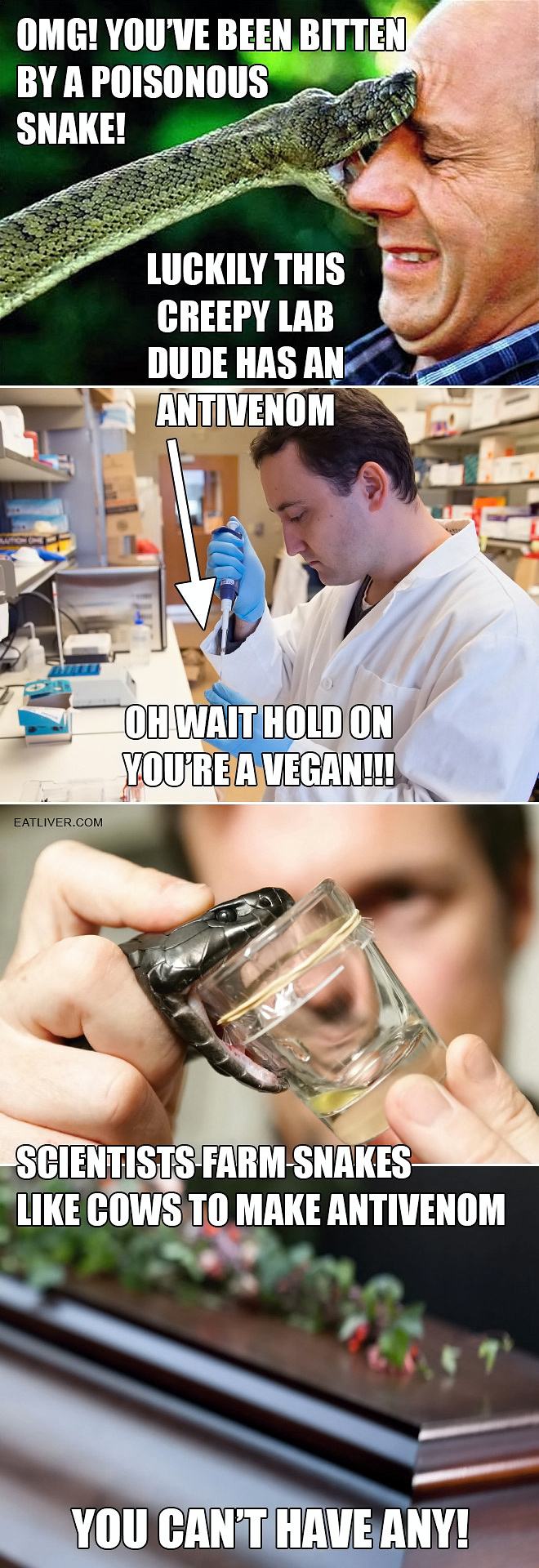 Obrázek silly-vegans-lol