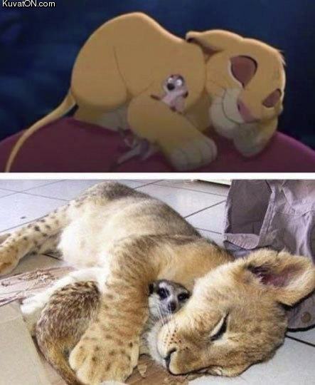 Obrázek simba and timon