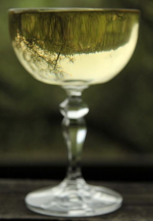 Obrázek sklenice bileho vina