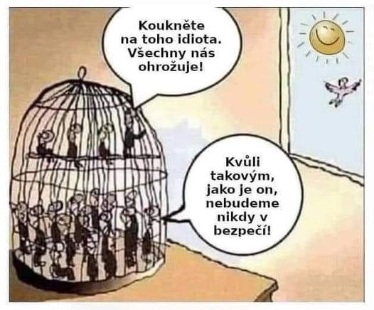 Obrázek skoro ovce