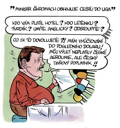 Obrázek skroma