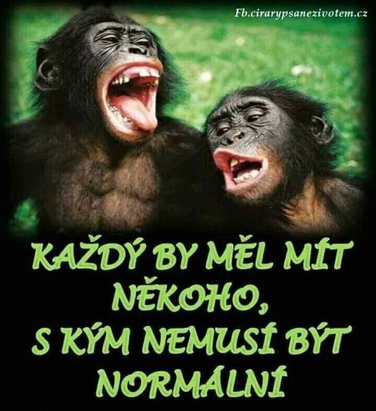 Obrázek skymneno