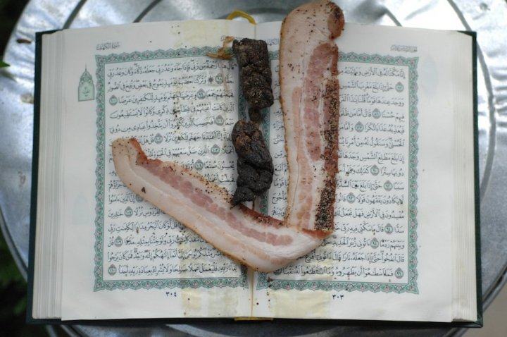 Obrázek slaninova zalozka v koranu