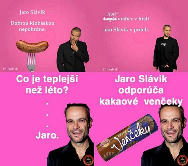 Obrázek slavik top