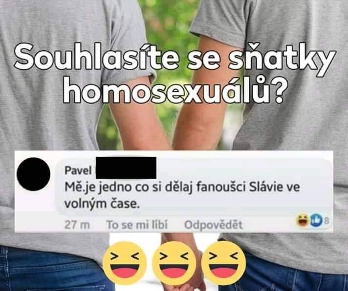 Obrázek slavista ve volnu