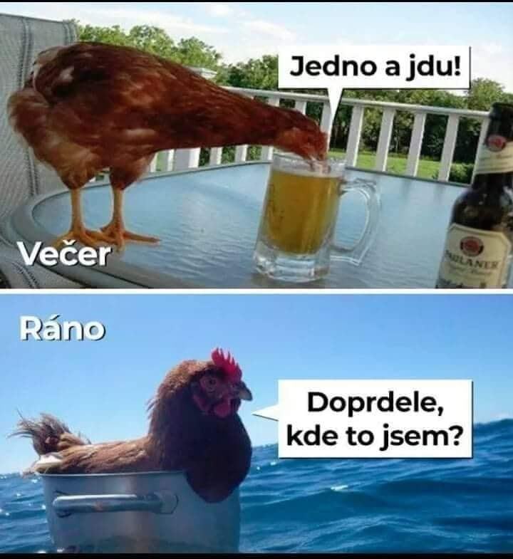 Obrázek slepice na pivu