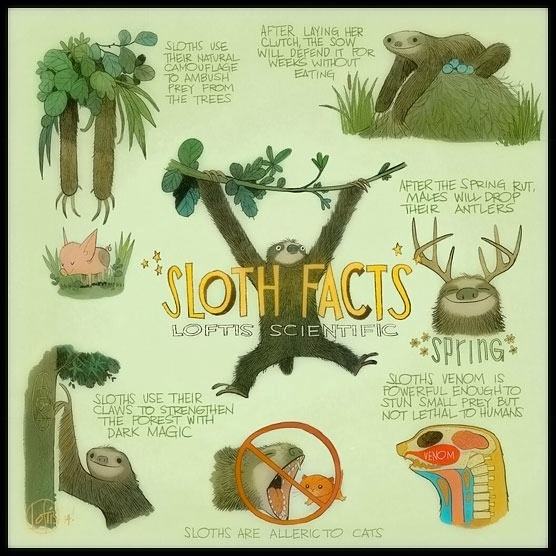 Obrázek sloth-facts