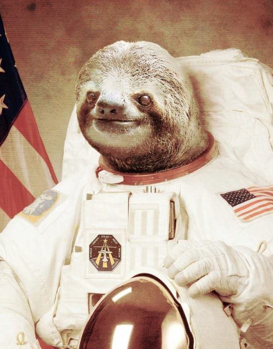 Obrázek sloth ast