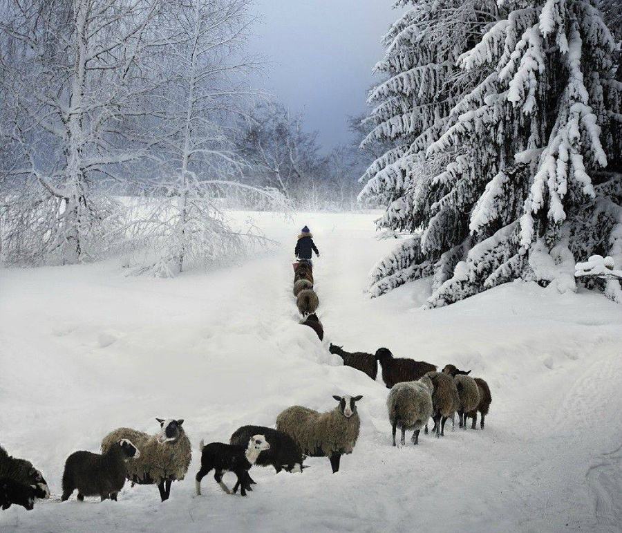 Obrázek slovakia-winter  