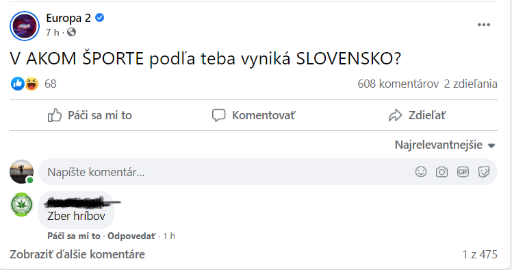 Obrázek slovensko sport