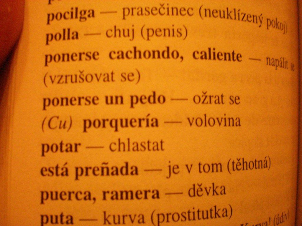 Obrázek slovnik-P9220410