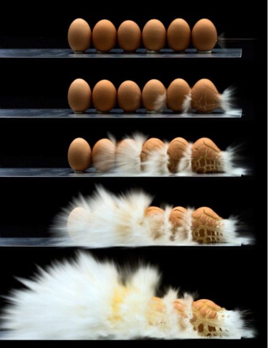 Obrázek slow-egg