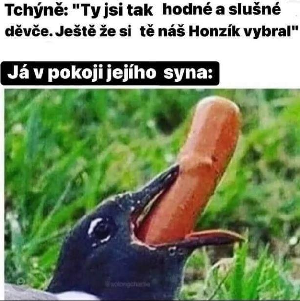Obrázek sludev