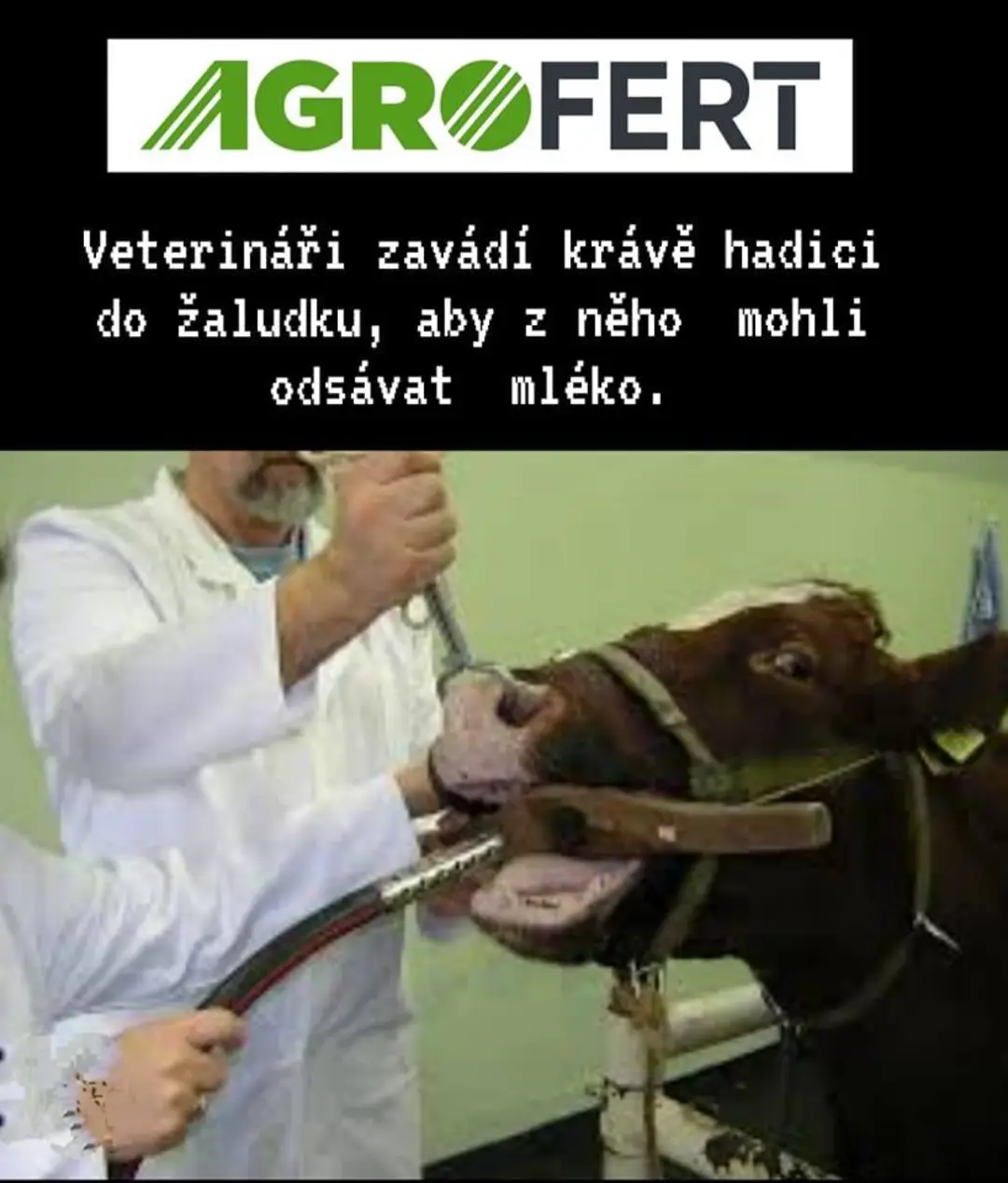 Obrázek slunce&nbsp;seno&nbsp;agrofert