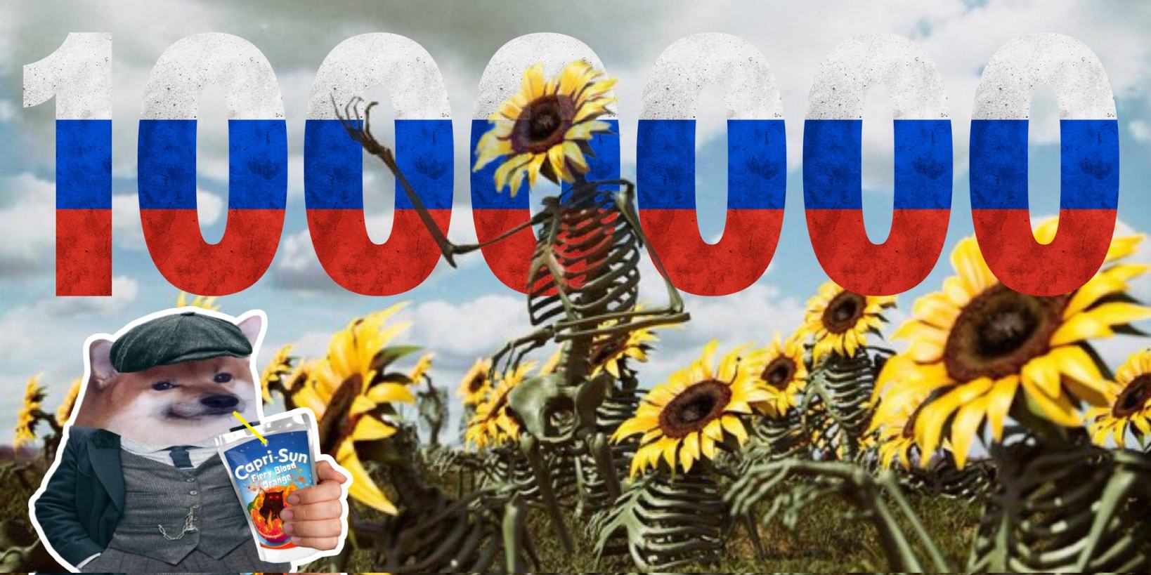 Obrázek slunecnice