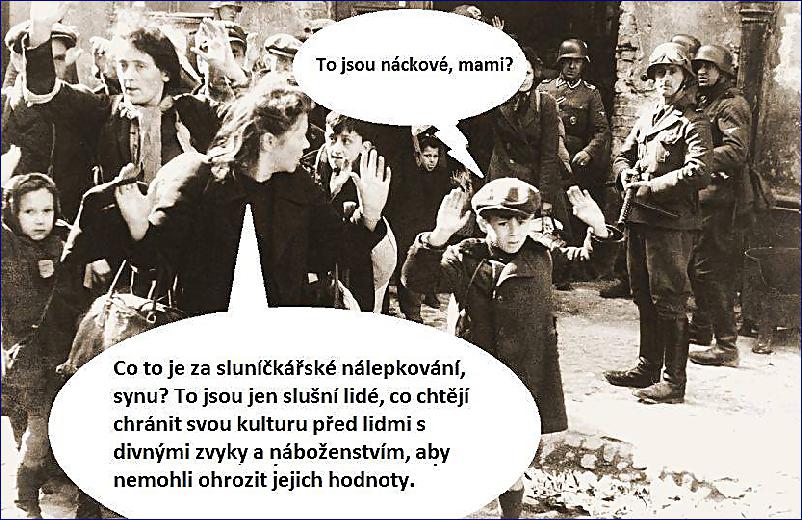 Obrázek slunicko