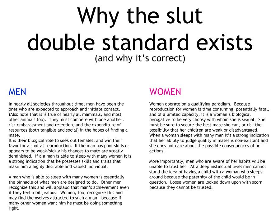 Obrázek slut double standard is correct