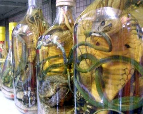 Obrázek snake-vodka