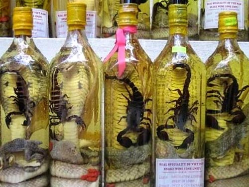 Obrázek snake-wine