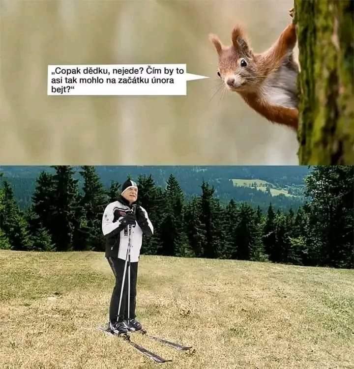 Obrázek snih uz neni co byval