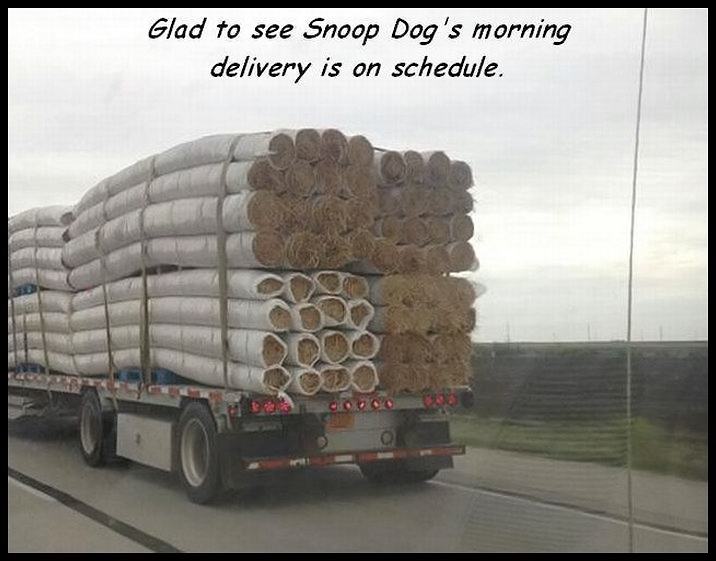 Obrázek snoop dog - delivery