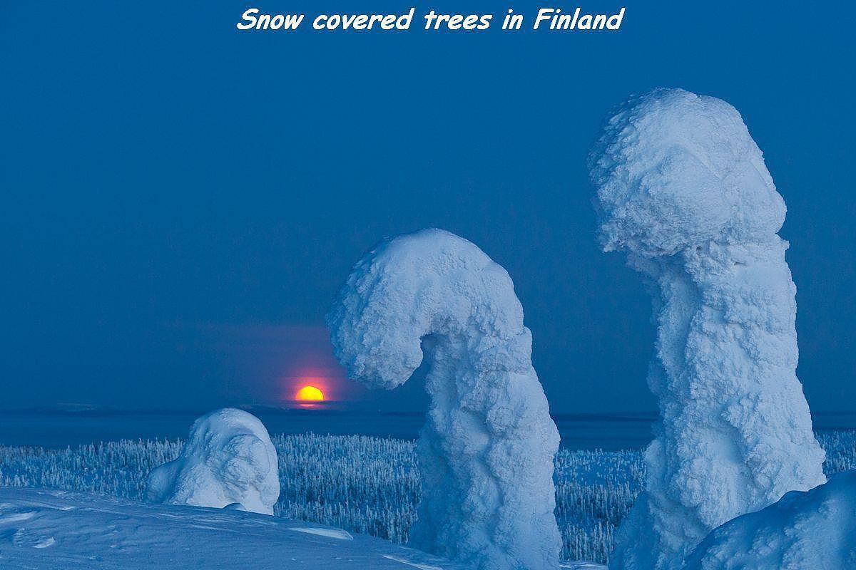 Obrázek snow covered-Finland