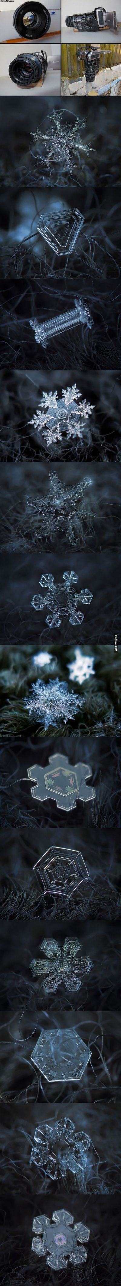 Obrázek snow flakes 