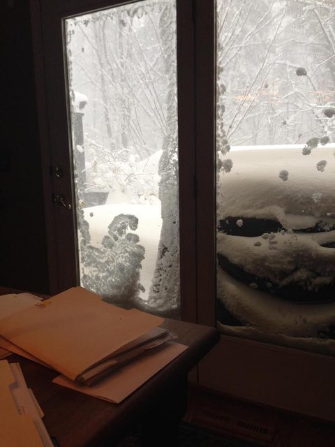 Obrázek snow just wants to play