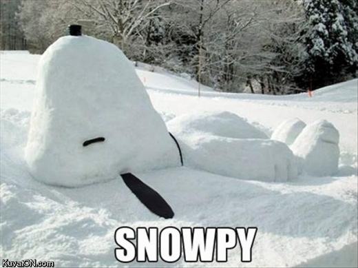 Obrázek snowpy