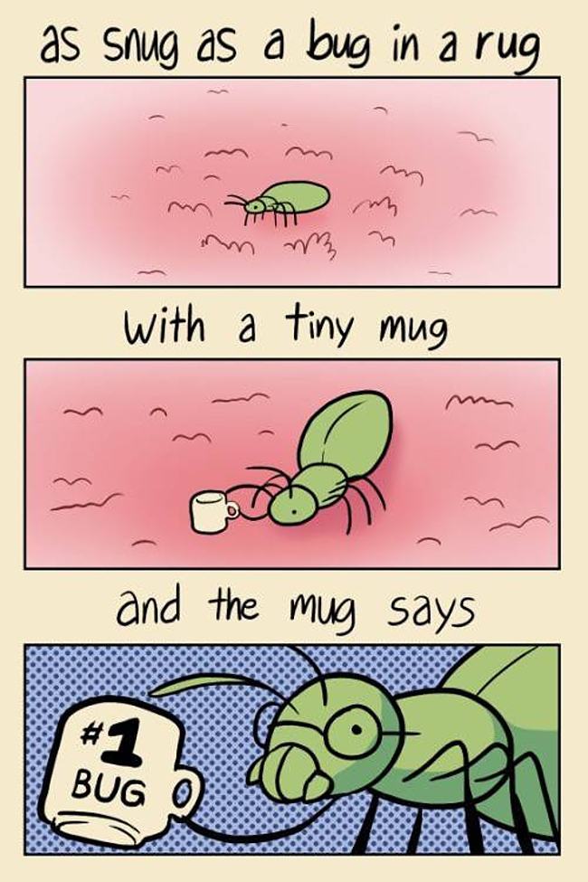 Obrázek snug-bug-rug