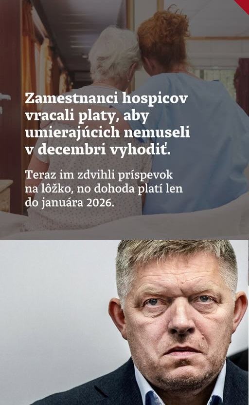 Obrázek socialny stat karpatskeho typu