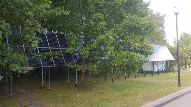 Obrázek solar powered trees