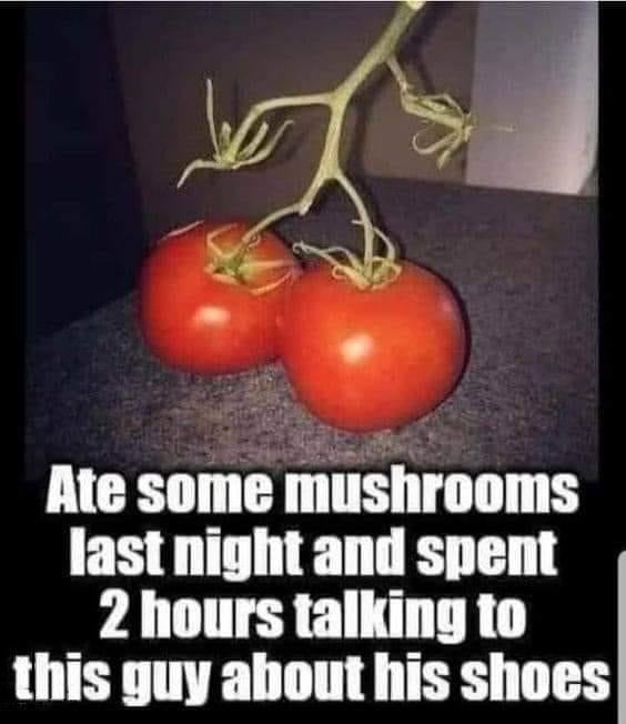 Obrázek some mashrooms