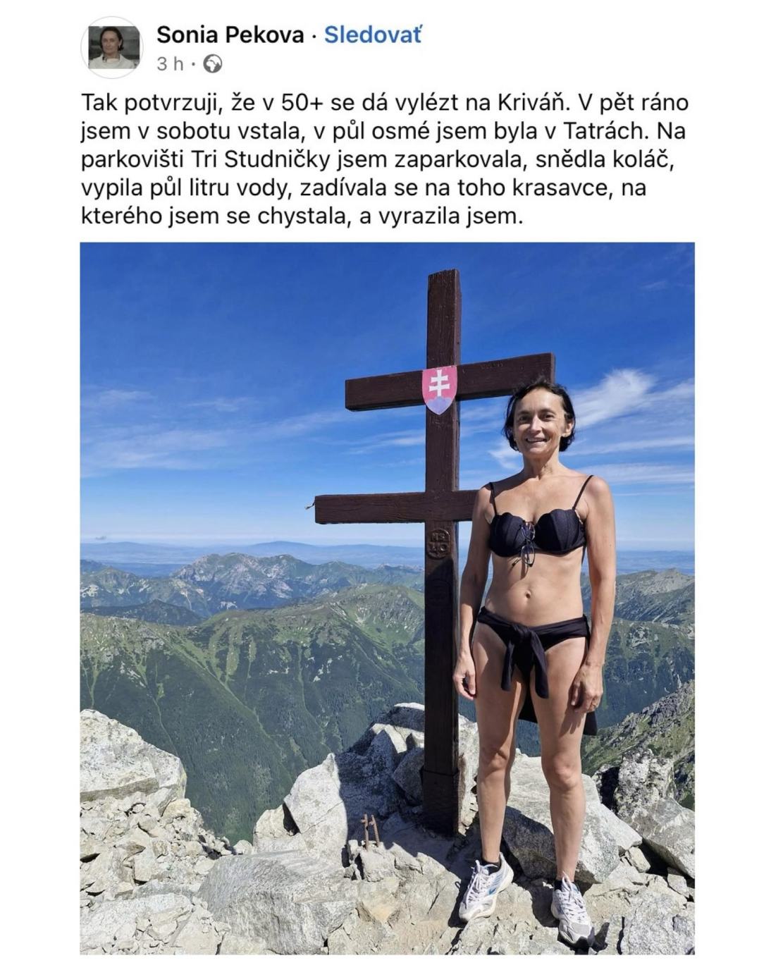 Obrázek sona p