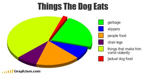 Obrázek song-chart-memes-dog-eats