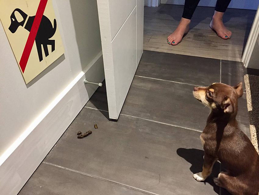 Obrázek sory ja si nevsim