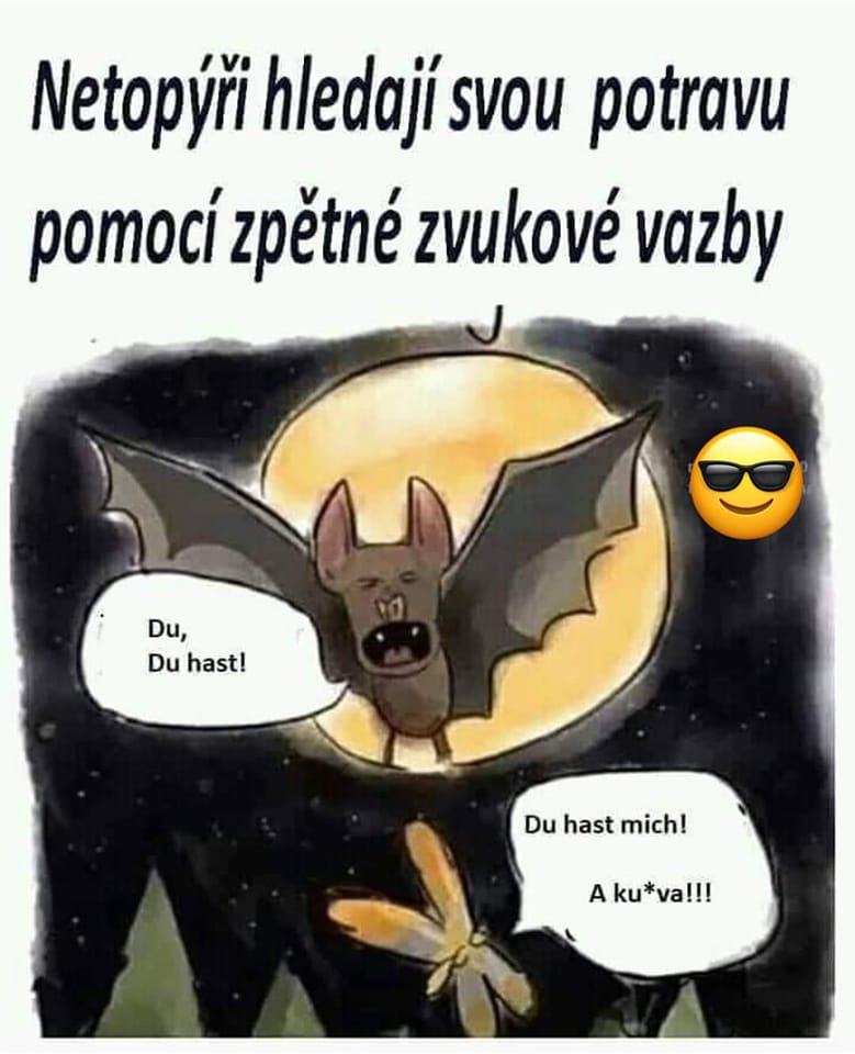 Obrázek spetna vazba