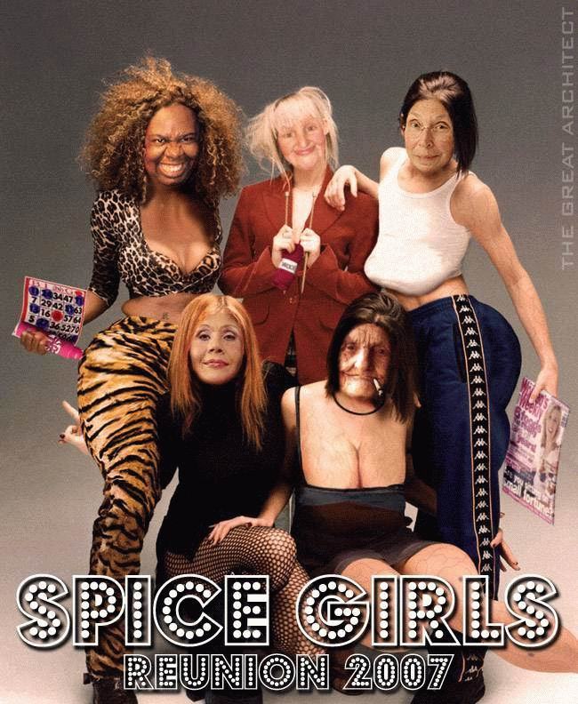 Obrázek spice girls