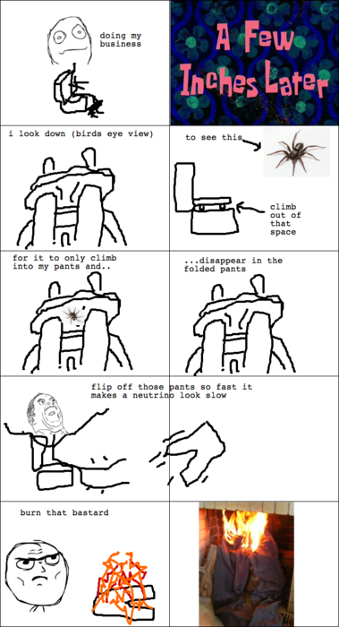Obrázek spider