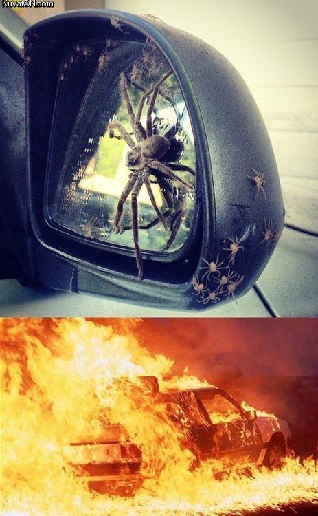 Obrázek spider car