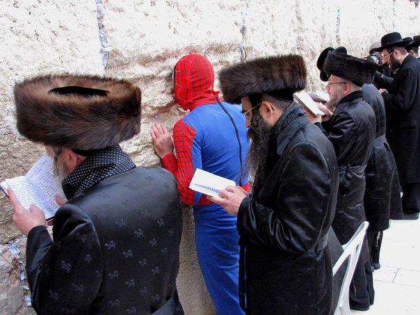 Obrázek spiderjew