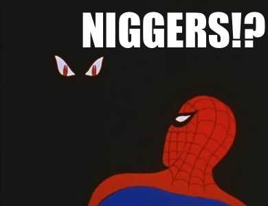 Obrázek spiderman niggers