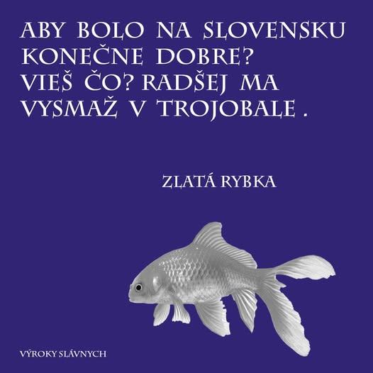 Obrázek splnene zelanie zlatej rybky